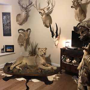 Trophy Room