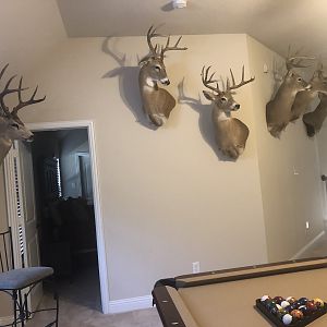 Trophy Room