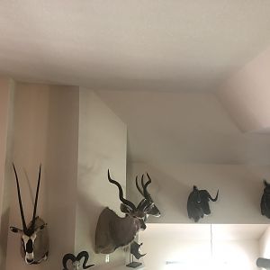 Trophy Room