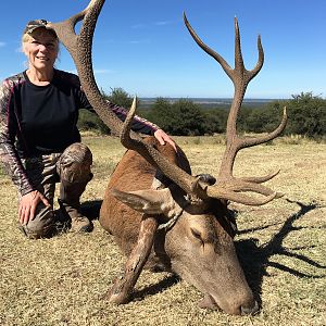 Red Stag Hunt Argentina