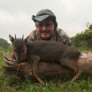 Hunt Blue Duiker in South Africa