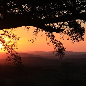 Beautiful Sunset in South Africa