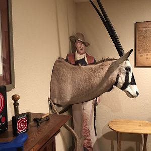 Gemsbok Shoulder Mount Taxidermy