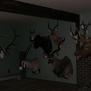 Trophy Room