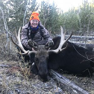 Hunting Moose in Wyoming USA