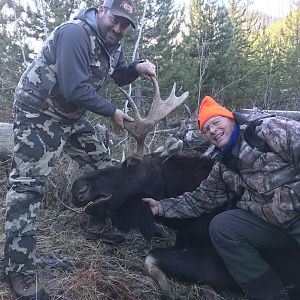 Moose Hunt Wyoming USA