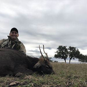 Texas USA Hunt Sika Deer