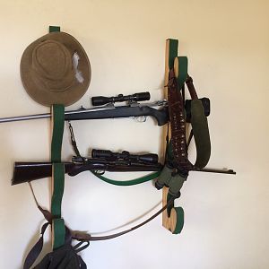 Firearms storage