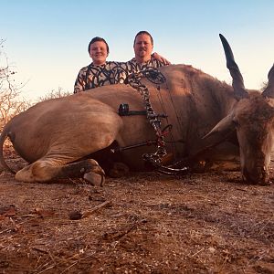 Eland Bow Hunting South Africa