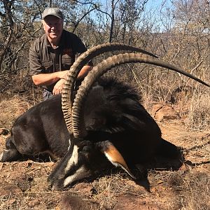 Sable Antelope Hunt South Africa