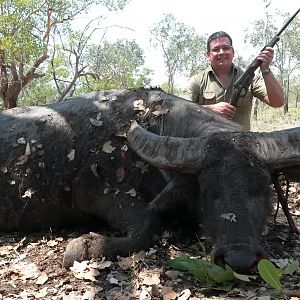 Hunting Asiatic Water Buffalo in Australia