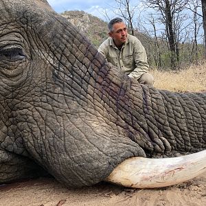 Elephant Hunting Zimbabwe