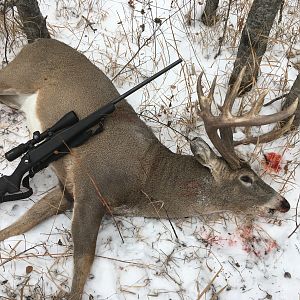 Canada Hunt Whitetail Deer