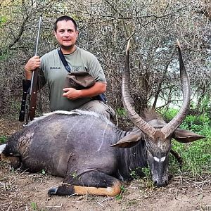 Hunting Nyala in South Africa