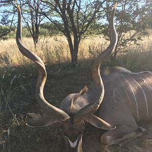 Kudu Hunting Namibia