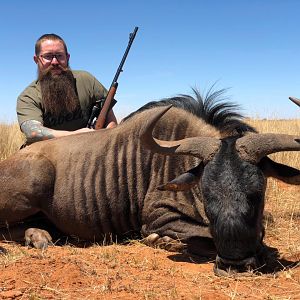 South Africa Hunt Blue Wildebeest