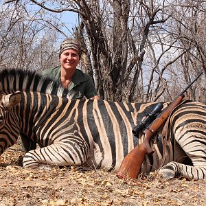 Hunt Burchell's Plain Zebra in South Africa