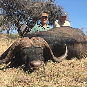 South Africa Hunting Cape Buffalo