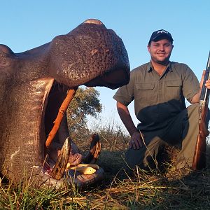 Hippo Hunt Namibia