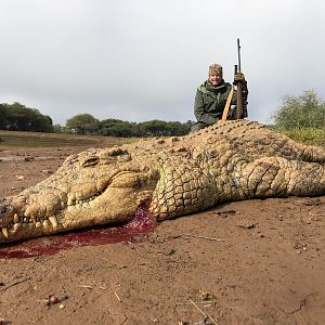 South Africa Hunt Crocodile