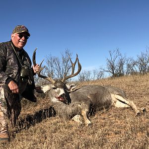 Texas USA Hunt Mule Deer