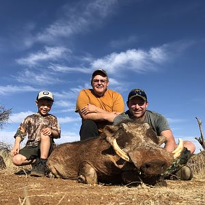 Hunt Warthog in South Africa