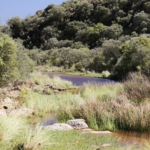 Hunting Area South Africa