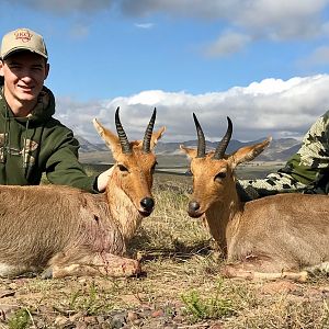 Mountain Reedbuck Hunting South Africa