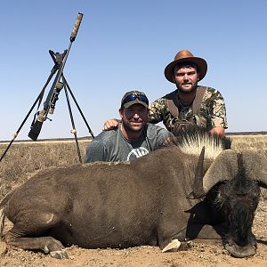 South Africa Hunting Black Wildebeest