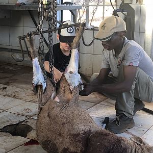 Skinning of Warthog