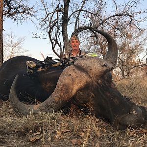 South Africa Bow Hunt Cape Buffalo