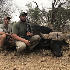 South Africa Hunt Cape Buffalo