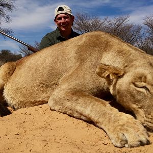 Lioness Hunt South Africa