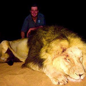 South Africa Hunt Lion