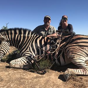 Bow Hunt Burchell's Plain Zebra in South Africa