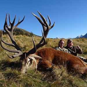 New Zealand Hunt Red Stag