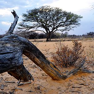 Hunting Lodge South Africa