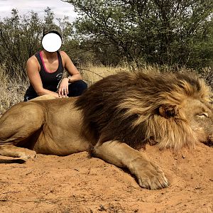 Lion Hunt South Africa