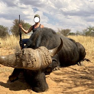 South Africa Hunt Cape Buffalo