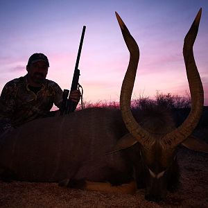 Hunt Nyala in South Africa