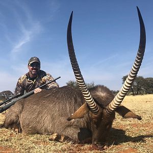 Waterbuck Hunt South Africa