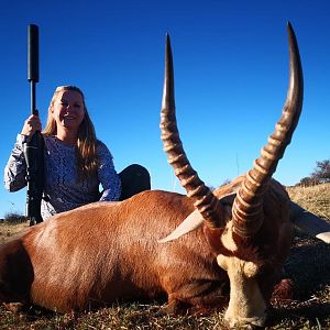 Blesbok Hunting South Africa