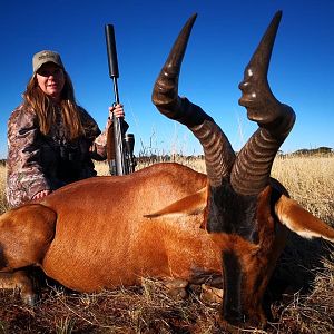 South Africa Hunting Red Hartebeest