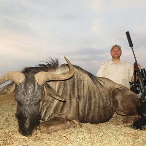 Hunt Blue Wildebeest in South Africa