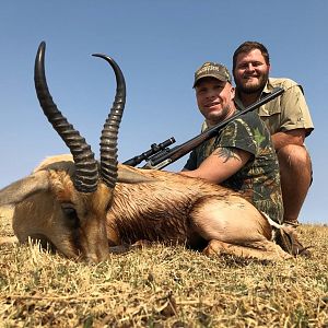 Copper Springbok Hunt South Africa