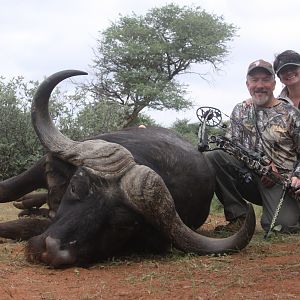 South Africa Bow Hunt Cape Buffalo