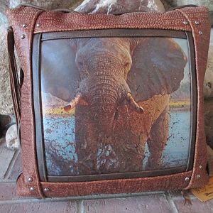 Leather Pillow with painting by John Banovich