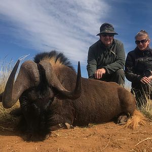 South Africa Hunt Black Wildebeest