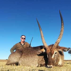 Waterbuck Hunt South Africa