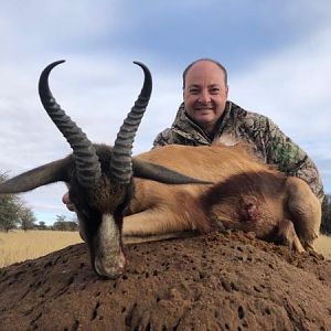 Hunting Copper Springbok in South Africa